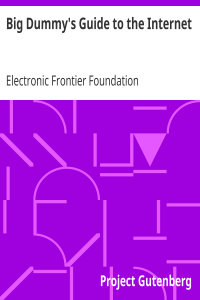 Big Dummy’s Guide to the Internet