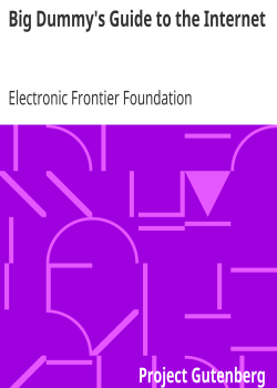 Big Dummy’s Guide to the Internet