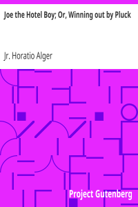 Joe the Hotel Boy; Or, Winning out by Pluck