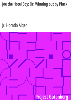 Joe the Hotel Boy; Or, Winning out by Pluck