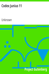 Codex Junius 11
