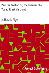 Paul the Peddler; Or, The Fortunes of a Young Street Merchant