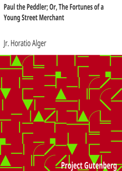 Paul the Peddler; Or, The Fortunes of a Young Street Merchant