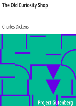 The Old Curiosity Shop