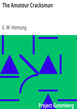 The Amateur Cracksman