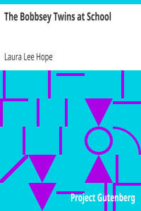 The Bobbsey Twins at School