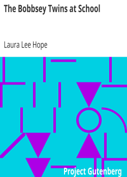 The Bobbsey Twins at School