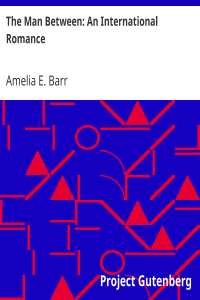 The Man Between: An International Romance