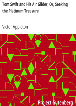 Tom Swift and His Air Glider; Or, Seeking the Platinum Treasure